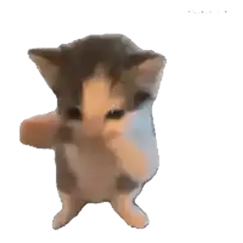 scooba
